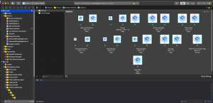 xcode_appicon_assets.png